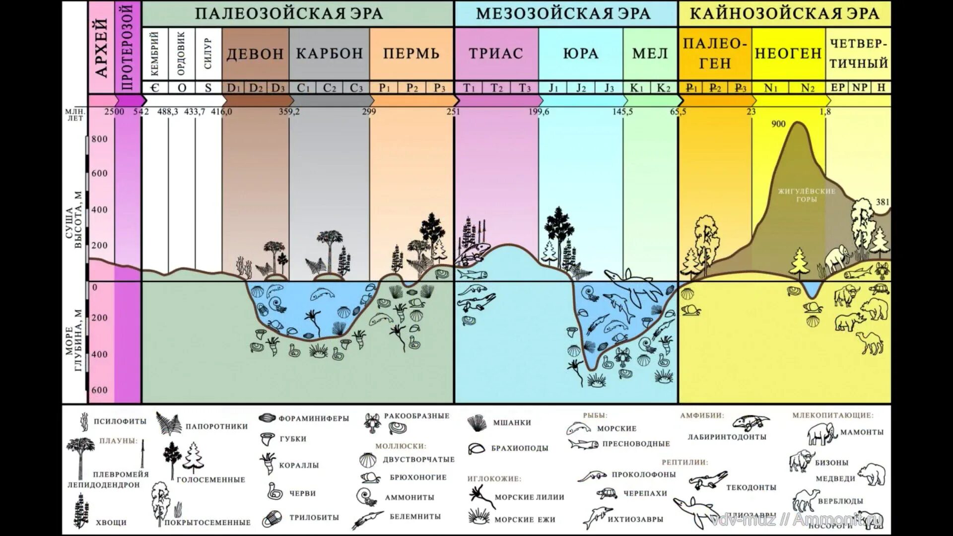 Эры земной коры. Геохронологическая шкала развития жизни. Геохронологическая шкала схема. Периоды развития земли в хронологическом порядке. Геохронологическая шкала эволюции.