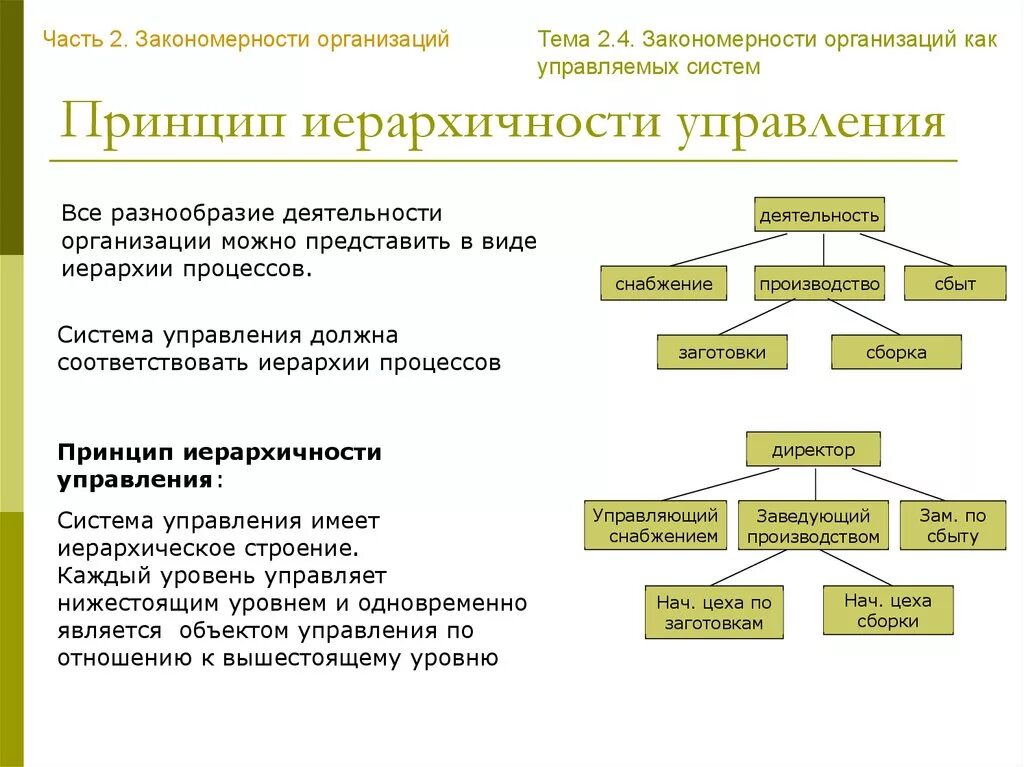 Функционирование организации закономерности. Принцип иерархии управления. Принцип иерархии в менеджменте. Принцип иерархичности в менеджменте. Иерархический принцип организации.