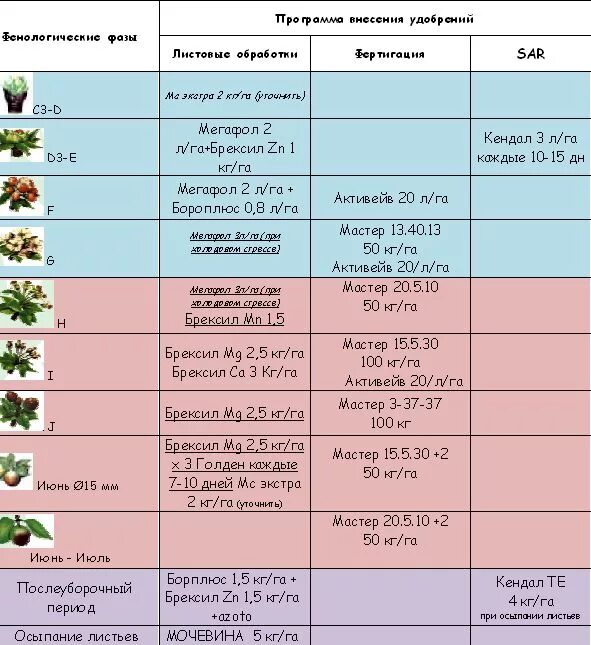В какое время лучше подкармливать. Схема внесений удобрений для растений. Схема удобрения яблонь. Схема подкормки плодовых деревьев и кустарников. Схема внесения удобрений для яблонь.