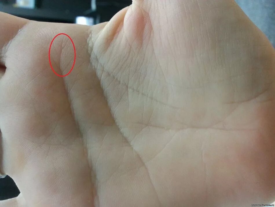 хиромантия вилки. хиромантия вилки. линия судьбы вилка на линии сердца. линия ума на ладони. линия жизни на руке вилка.