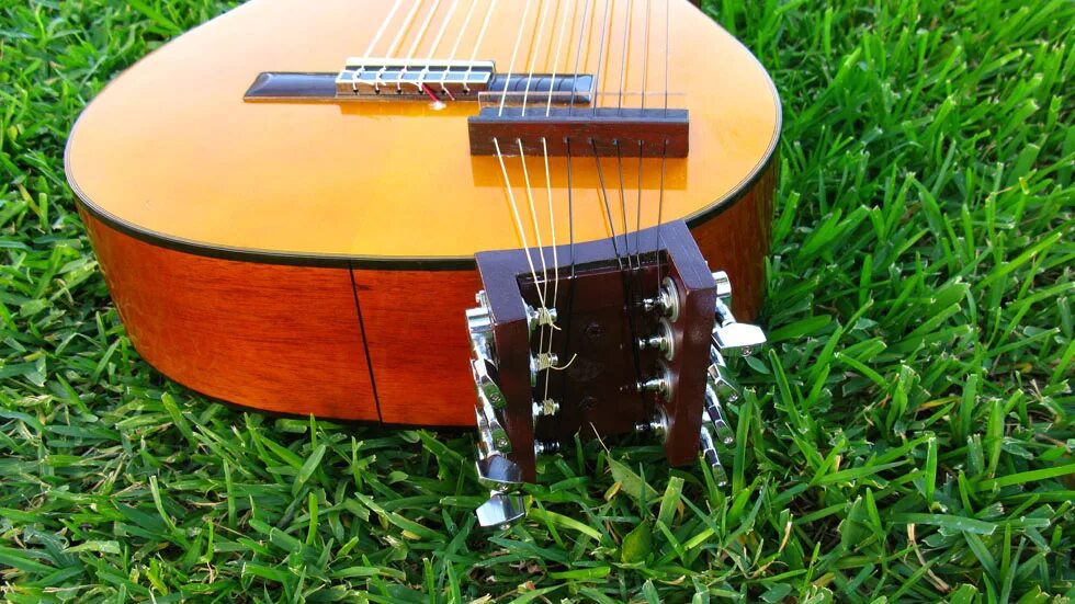 Гитара туне. Слайд гитара. harp guitar. 7 string guitar tuning. indiginus - renaxxance exprexxive nylon string guitar.