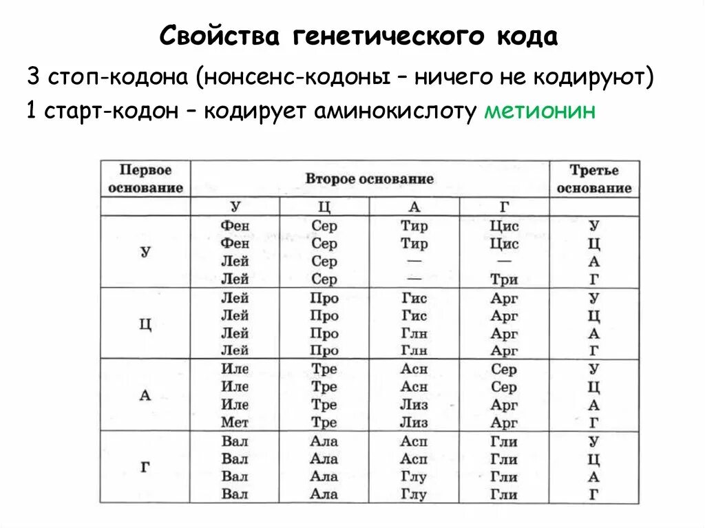 Стар-кодон Амино кислота. Метионин генетический код. Генетический код стоп кодоны. Старт кодон ДНК.