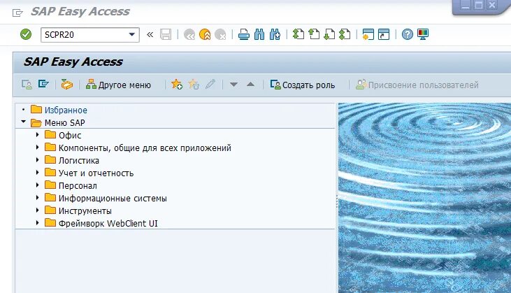 Info sap. Sap sm30. sap как войти.