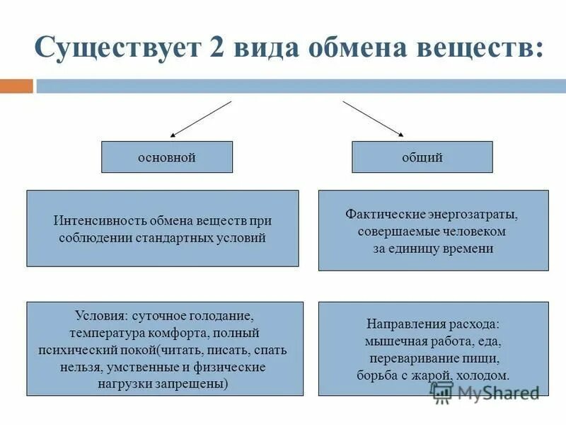 таблица особенности обмена веществ. отличие характера от темперамента в психологии. отличие венчурных фондов и бизнес - ангелов. процесс дыхания и фотосинтеза у растений. отличия основного и оборотного капитала.