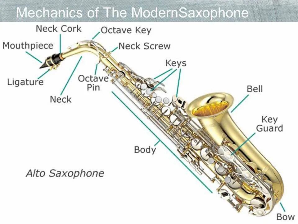 Строение саксофона Альта. Строение саксофона. Строение мундштука саксофона. Саксофон строение инструмента. Саксофон на английском