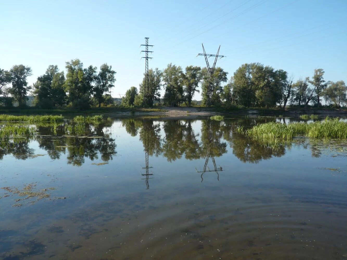 Река сок Старосемейкино. Село Старосемейкино река сок. Старосемейкино Самарская область речка. Река сок Старосемейкино Самара.