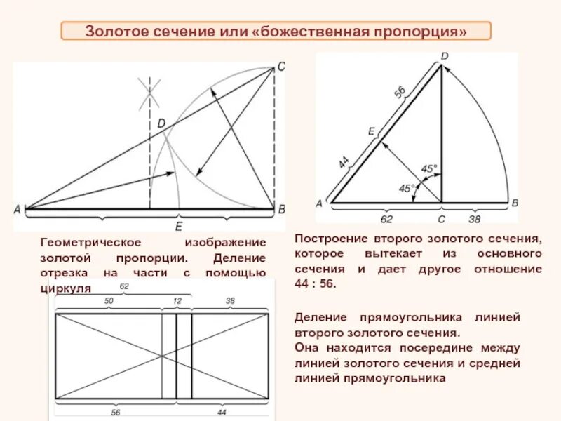 Деление золотого сечения. Соотношение пропорция золотого сечения. Золотое сечение пропорция в живописи. Божественная пропорция. Золотое сечение схема.