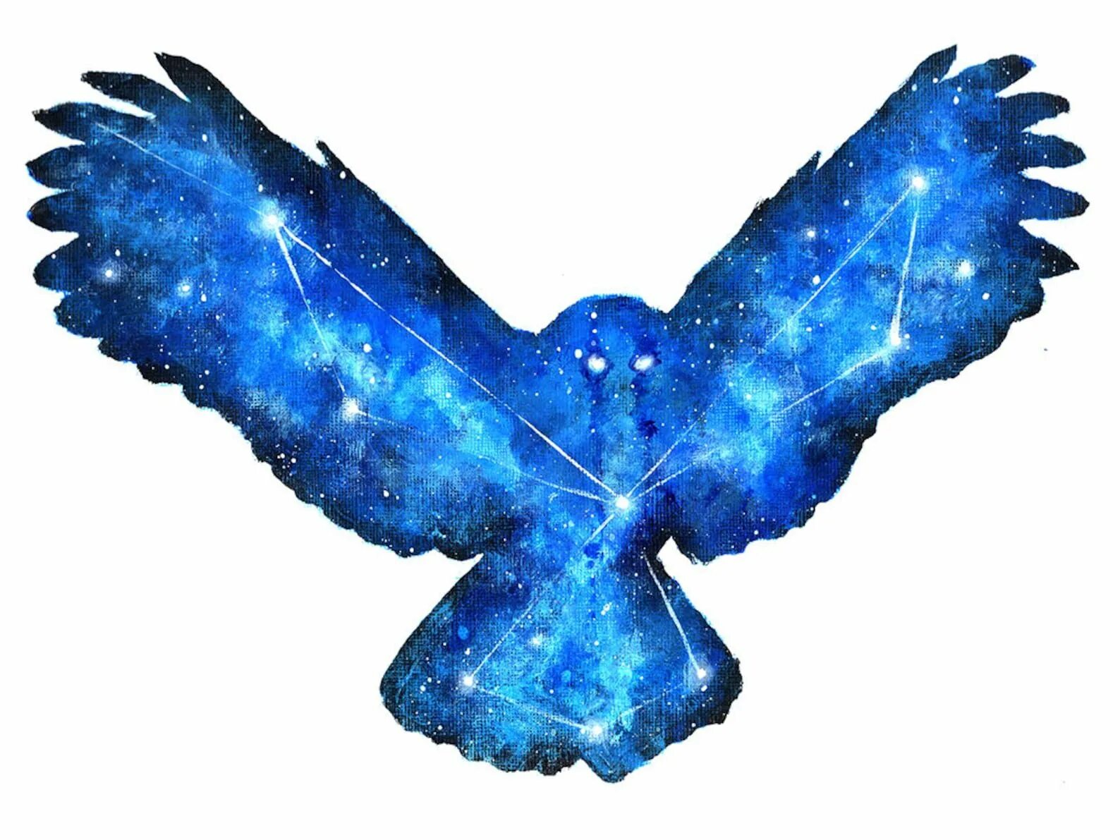 Галактическая птица. Созвездие Совы звезды. Космическая птица Галактическая. Галактическая птица рисунок.