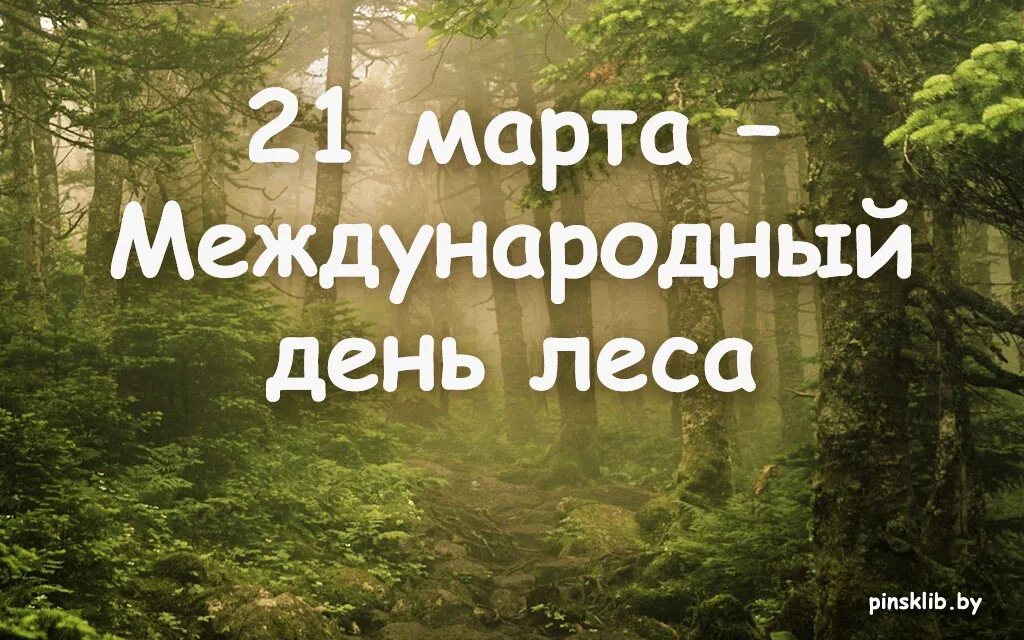 День леса в мире. Междуанродныйдень лесов. День леса. 21 Март Международный день леса.