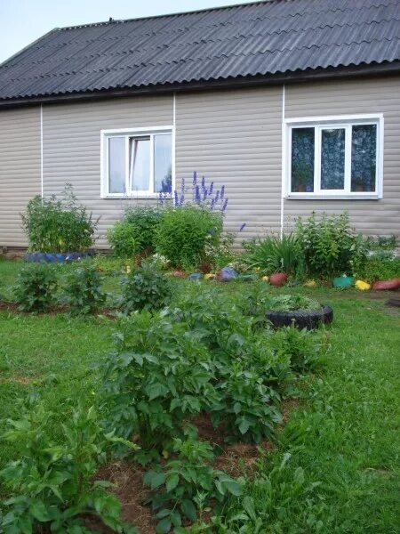 Дом в Боровичах Новгородской области. Дом. В. деревне. Г. Боровичи. Новгородской. Обл. Передки недвижимость Боровичи Новгородская. Продаётся дом в деревне Бобовик Боровичи. Авито боровичи недвижимость купить