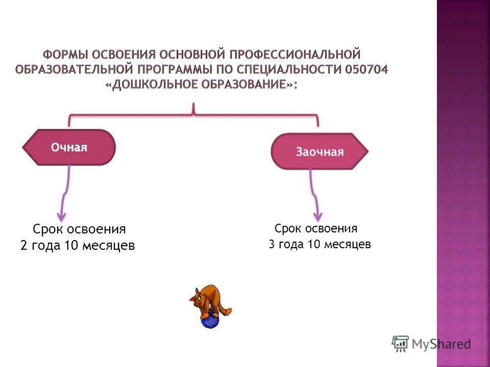 Срок освоения основной образовательной программы