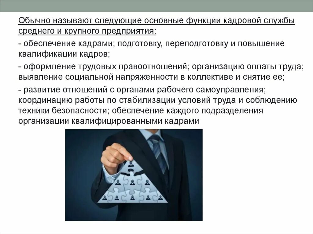 Функции кадровых служб организаций. Функции кадровой службы. Основные функции кадровой службы средней и крупной организации. Задачи кадровой службы. Кадровая служба малого среднего и крупного бизнеса.