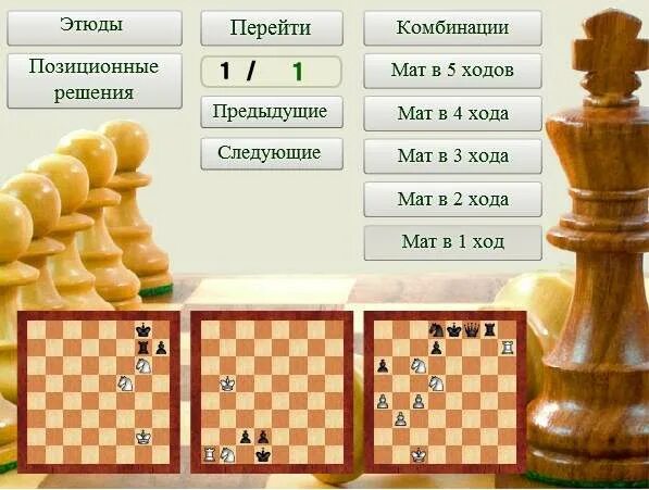 Шахматный задачник. Обнова в шахматах. Программа для решения шахматных задач.