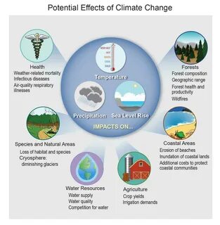Environmental causes