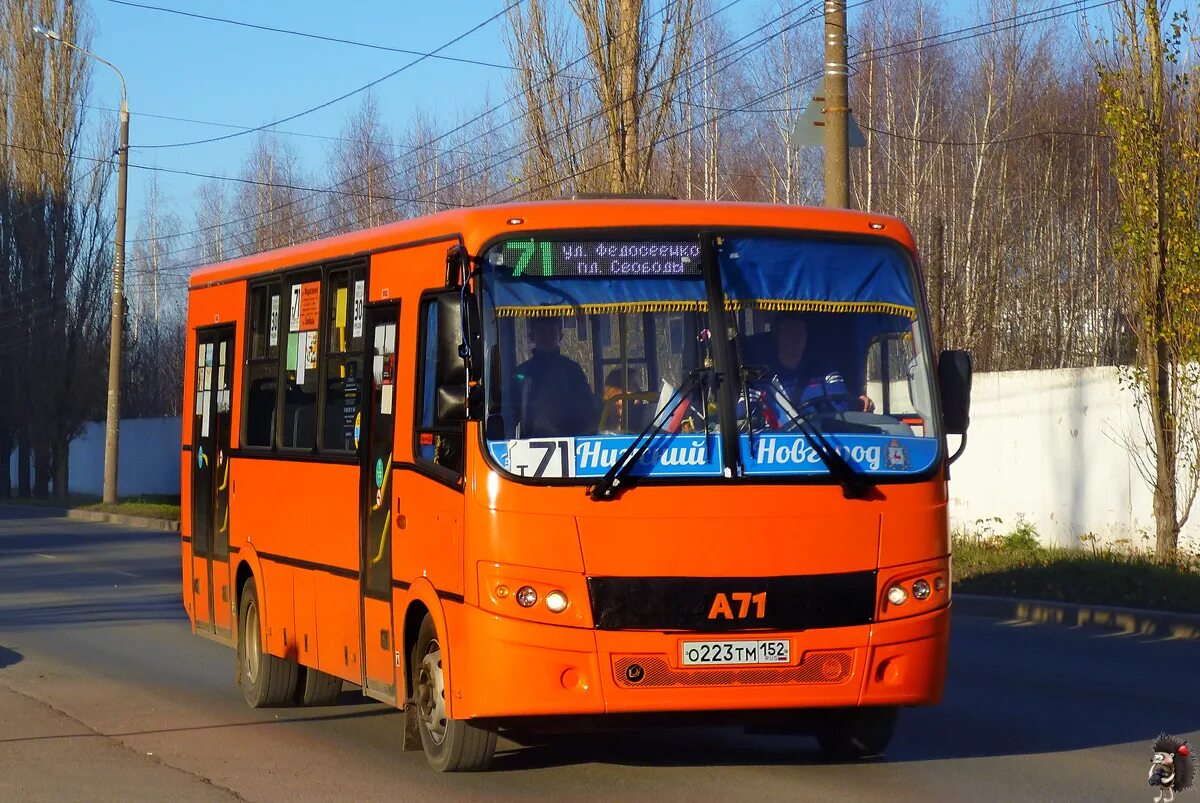 Автобус с941. ПАЗ 320414-05. ПАЗ 3204 оранжевый. ПАЗ 3204 Нижний Новгород. ПАЗ-3204 автобус Нижний Новгород.