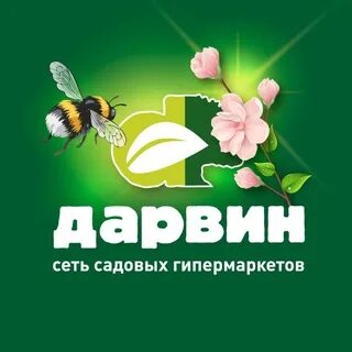 Дарвин телеграмм. Ученый стикер. Стикеры гении. Дарвин телеграмм. Дарвин одобряет мем.