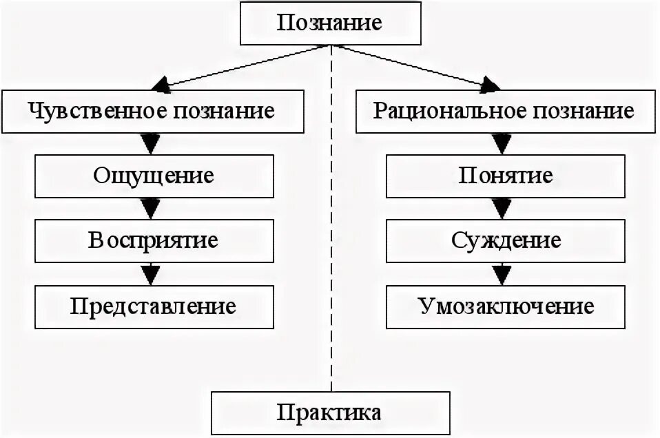 1 чувственное 2 рациональное логическое. Этапы познания схема. Основные этапы процесса познания. Схема формы чувственного познания. Процесс познания схема философия.