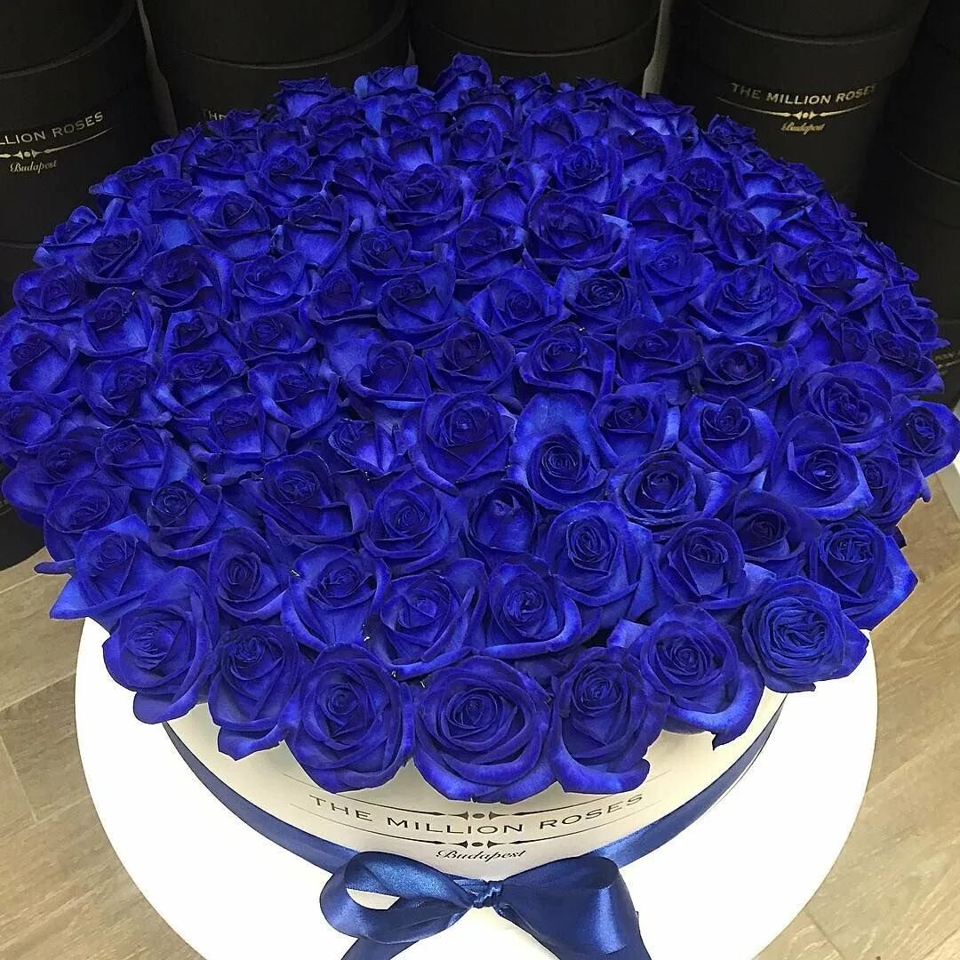 Синий самый любимый цвет. Букет синих роз. Шикарный букет синих роз. Голубые розы букет.
