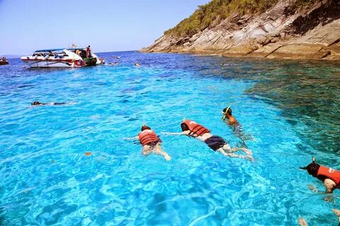 Coral island