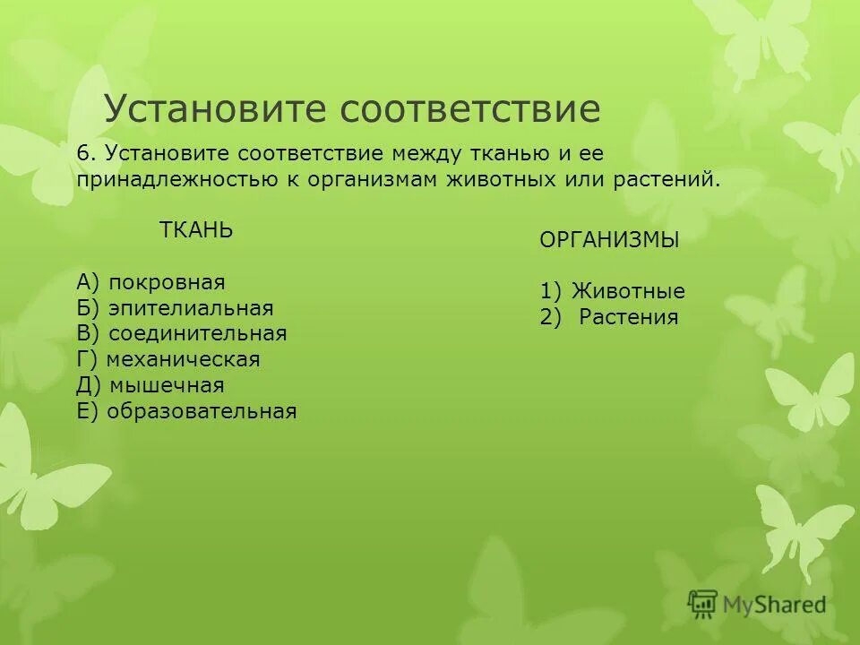 Установите соответствие между тканями растений. Соответствие между тканями растений и животных. Биология 5 класс ткани растений задания. Ткани растений. Установит соответствие между типом и тканью.