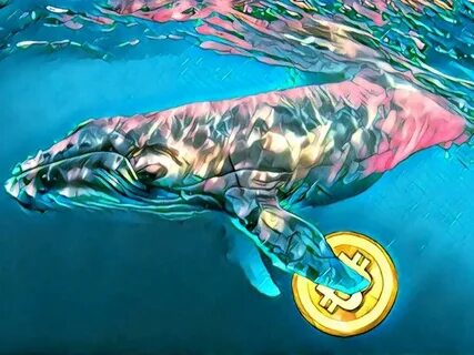 Whales wallet