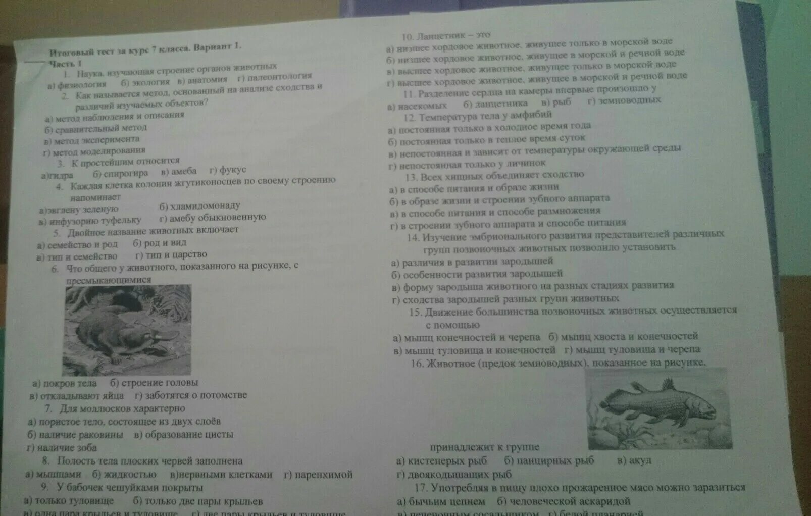 Курс 7 класса