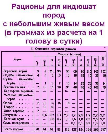 Можно ли кормить индюшат. Таблица рациона питания для индюков. Рацион питания для индюков с 1 месяца. Таблица кормления индюшат. Рацион кормления индюков таблица.