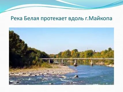 Белы реки белы реки руки