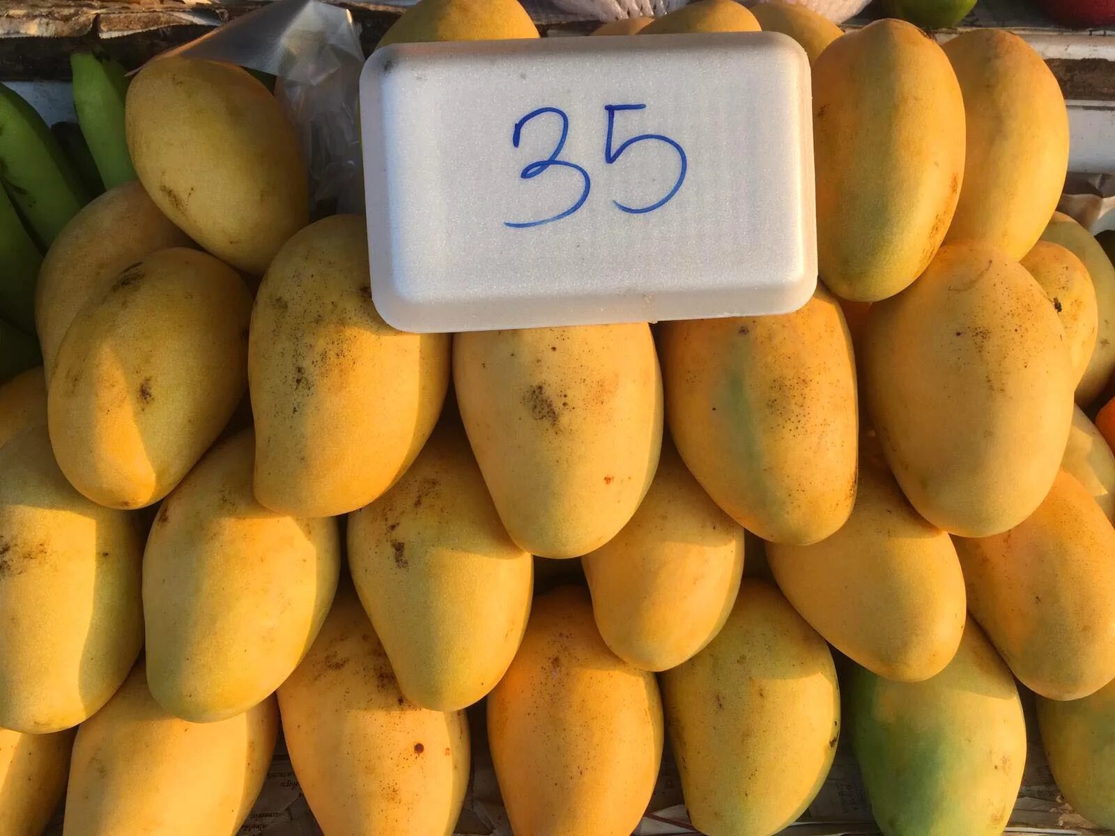 Сорта манго. Манго сорт Альфонсо. Манго фрукт тайский сорт. Сорта манго в Тайланде.