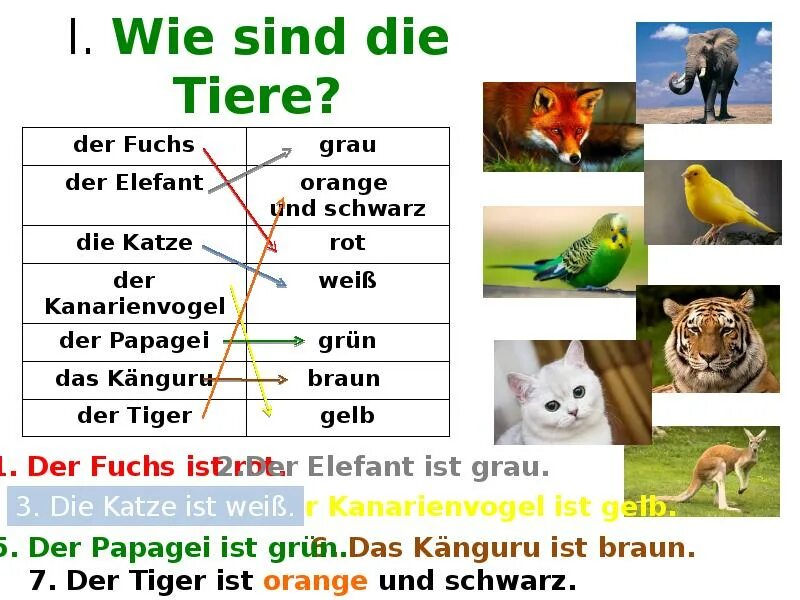 Wie sind die. Презентация по теме die tiere. животные на немецком языке. животные и цвета по немецкому. животные на немецком языке 5 класс.