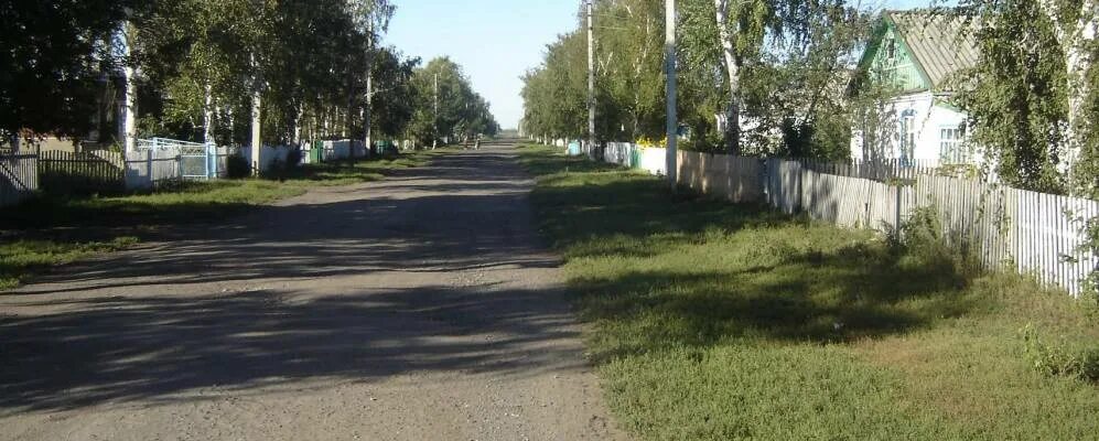 Протасово немецкий национальный район Алтайский. Протасово ННР Алтайского края. Село Протасово немецкий национальный район. Полевое Алтайский край немецкий национальный район.