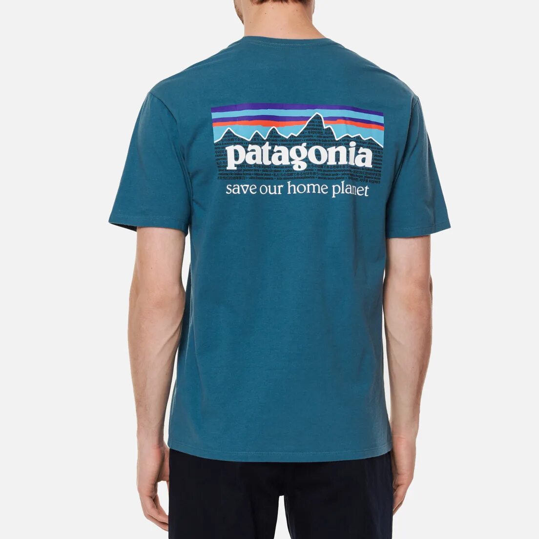 Футболка патагония. Patagonia футболка мужская. Футболка bambass patagonia. Футболка патагония. Футболка патагония мужская.