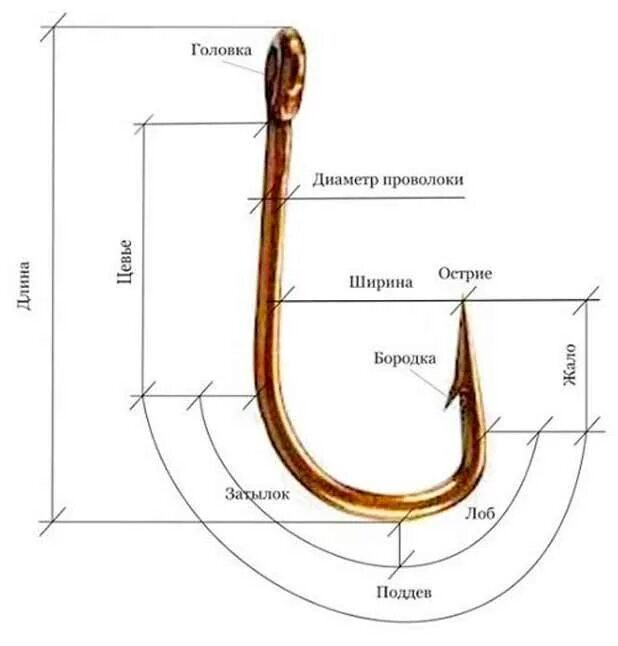 Крючки для ловли карася. Какой крючок нужен на карася размер. Крючки для рыбалки Размеры для карася. Рыболовные крючки по размерам на карася. Нумерация рыболовных крючков на карася.