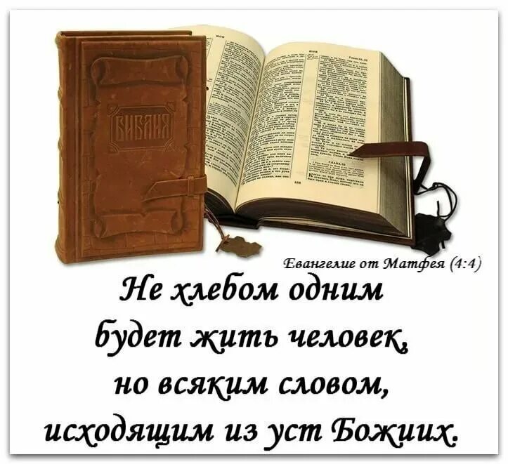 Евангелие от матфея читать 12. Цитаты о православной книге. Евангелие книжка. Цитаты из Евангелия. Стихи из Евангелия.