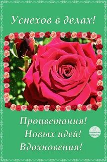 Поздравляю с успешной работой