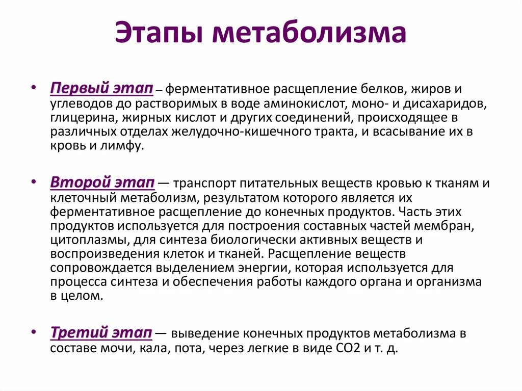 Ферментативное расщепление поступающих с пищей белков. Обмен веществ этапы анаболизм. Этапы катаболизма и анаболизма. Этапы белкового обмена. Метаболизм этапы метаболизма.