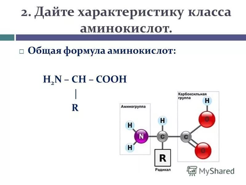 Амины общая формула класса. Формула аминокислоты общая молекулярная. общая формула белков химия. общая формула белка. бета аминокислота общая формула.