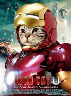 Железный кот