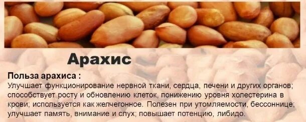 Польза жареного арахиса для мужчин. Арахис польза. Чем полезен арахис. Полезность арахиса. Польза арахиса для организма.