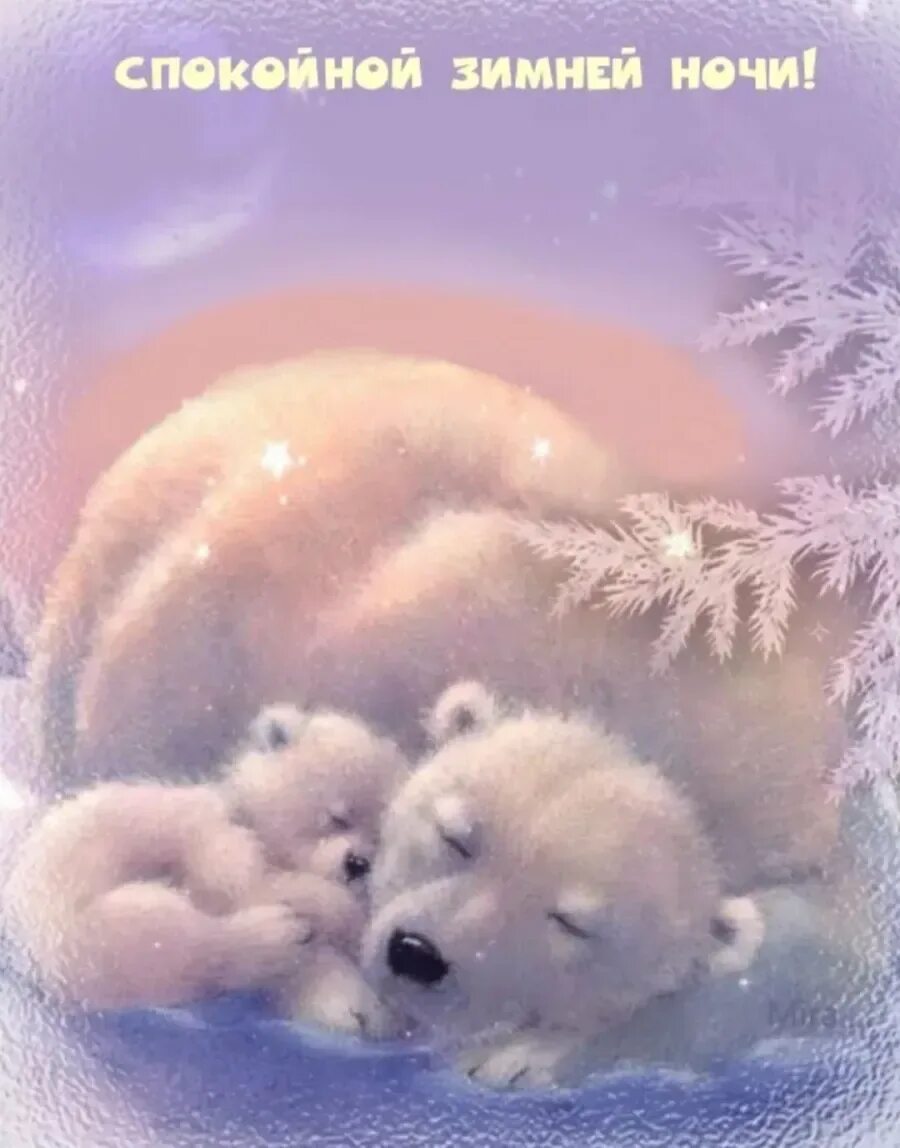 Спокойной зимней ночи. Спокойной ночи зима. Приятных зимних снов. Спокойной зимней ночи сладких снов.