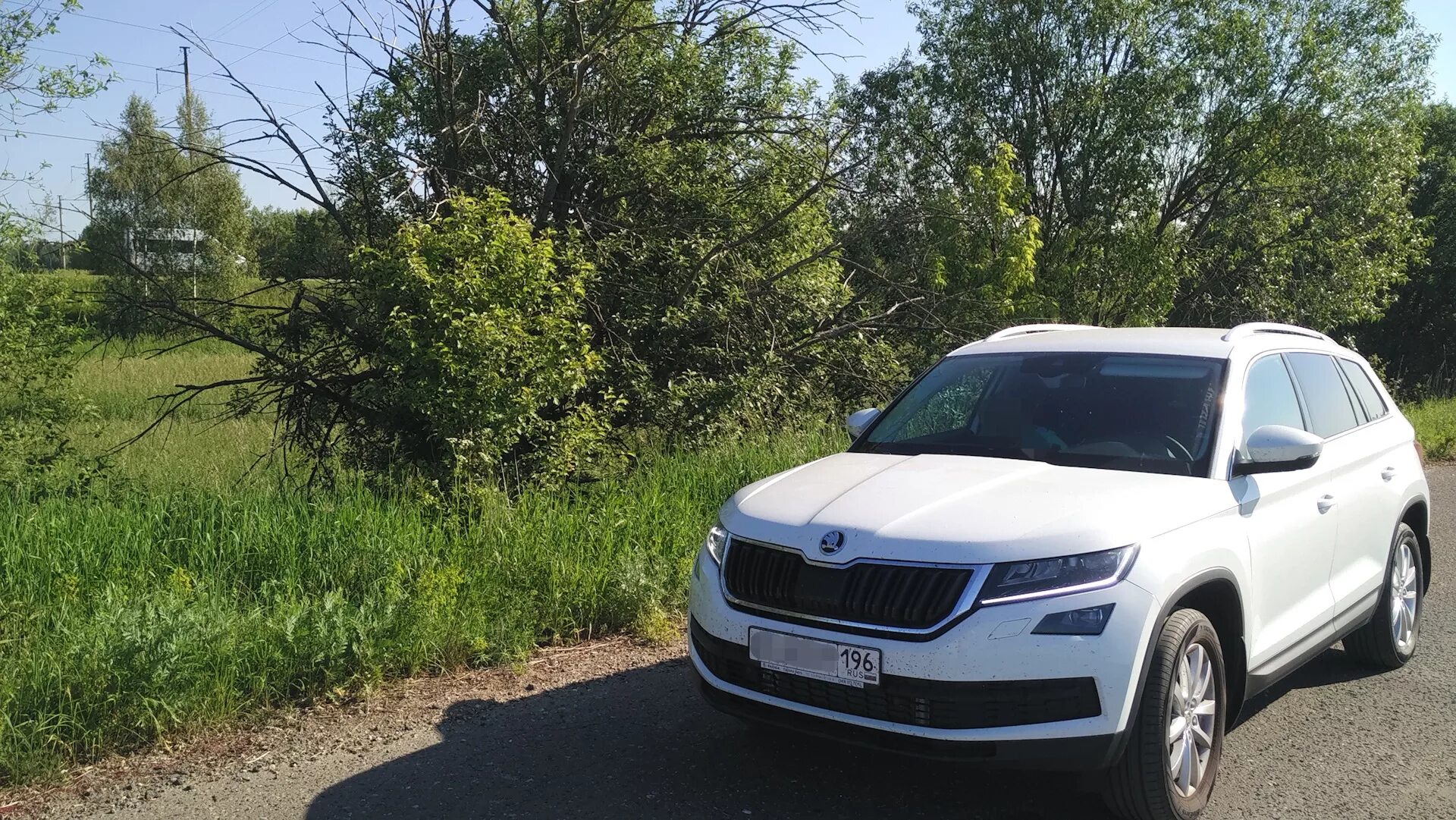 Шкода Кодиак. Skoda Kodiaq Candy White. Skoda Kodiaq 2019. Шкода Кодиак 2019 белая. Купить кодиак с пробегом на авито