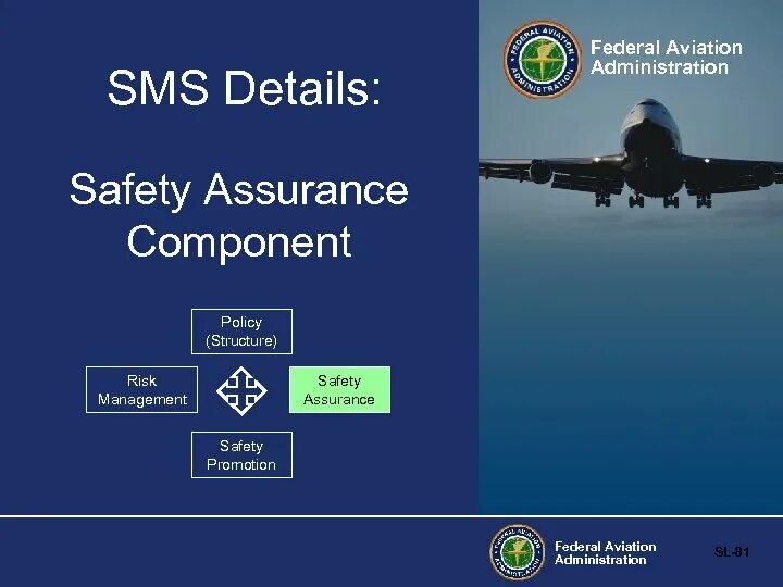 Safety assurance. Система sms. The four pillars of e-governance что они обозначают. Provider management system. Safety assurance.