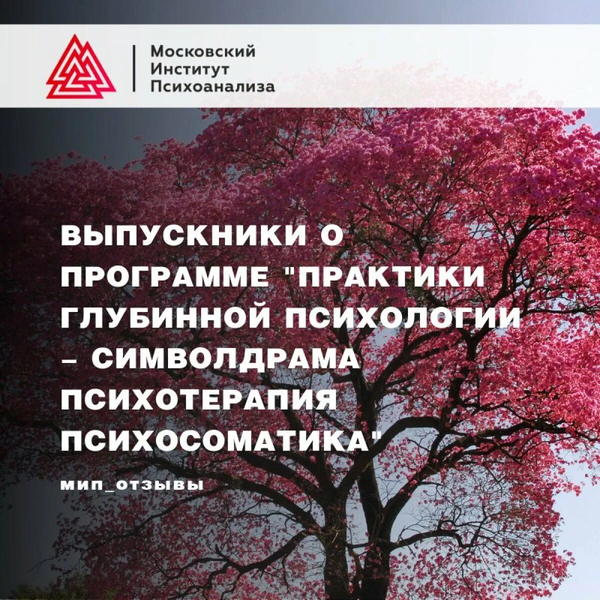 Московский психоанализа отзывы. МИП психоанализа. Московский институт психоанализа. МИП логотип. МИП психоанализа логотип.