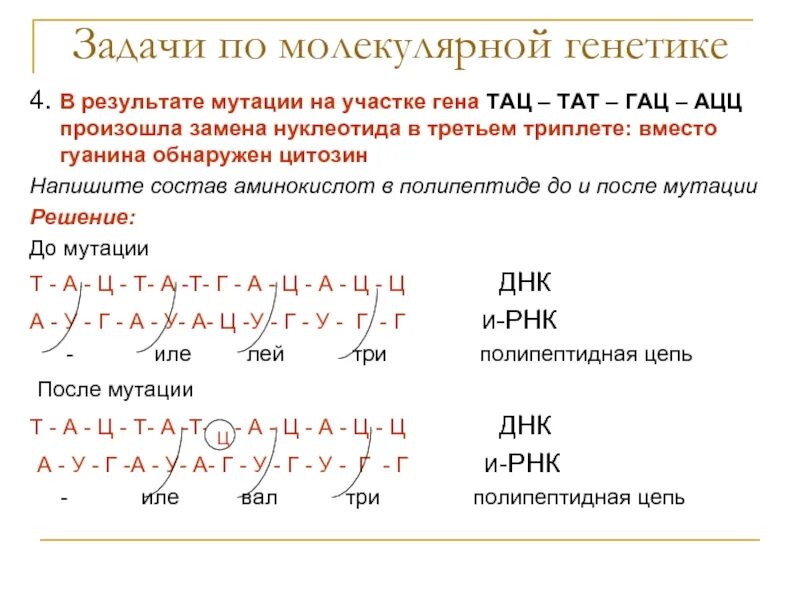 Изменение нуклеотидной последовательности. Задачи по молекулярной генетике. Задачи по молекулярной биологии. Задачи на мутации. Генные мутации задачи.