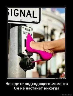 Жди подходящего момента