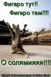 Фигаро тут
