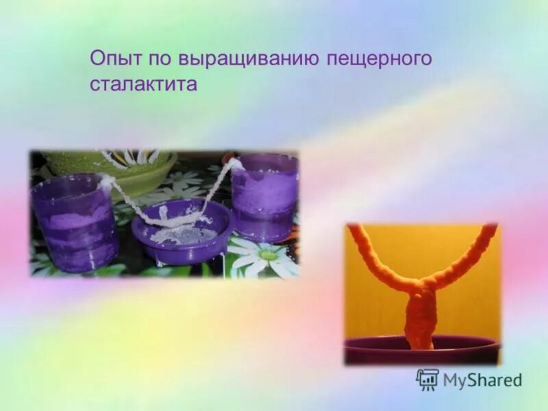 исследовательская работа по выращиванию