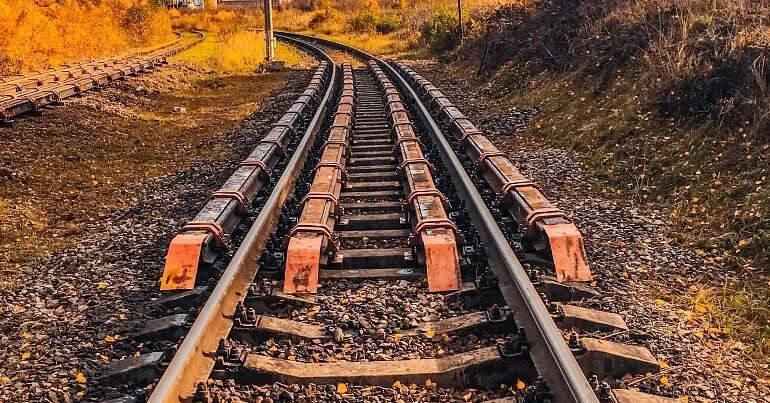 Пассажирский поезд. Вагон транспортер 32 осный. Ж д р с к х. Сортировочная (платформа, санкт-петербург). Страховочный пакет ж.