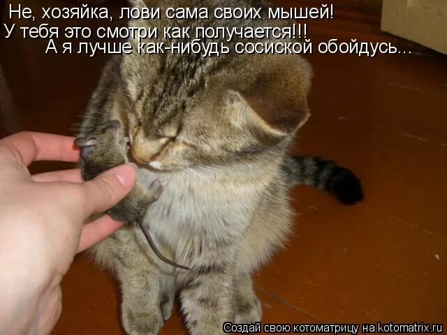 Маскинонг рекорд. Ну вот ты поэт еле еле. Кот плавает. Сама лови. Сцепление бросать нельзя.