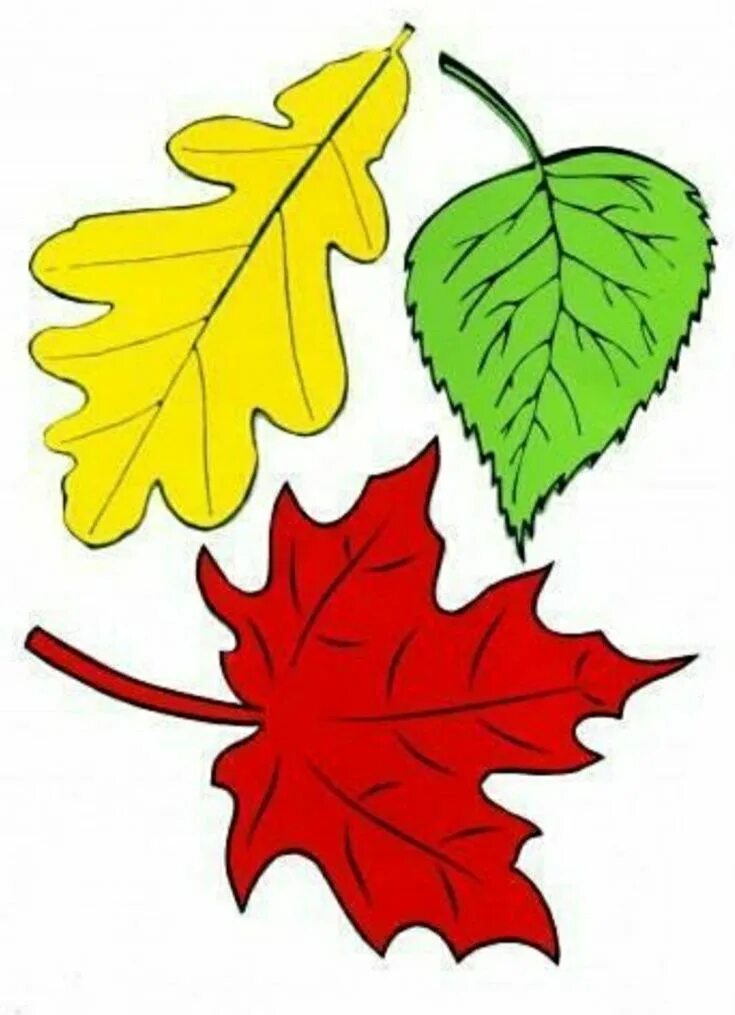 Осенние листочки. Трафареты осенних листьев. Осенние листья шаблон. Осенние листочки шаблоны.